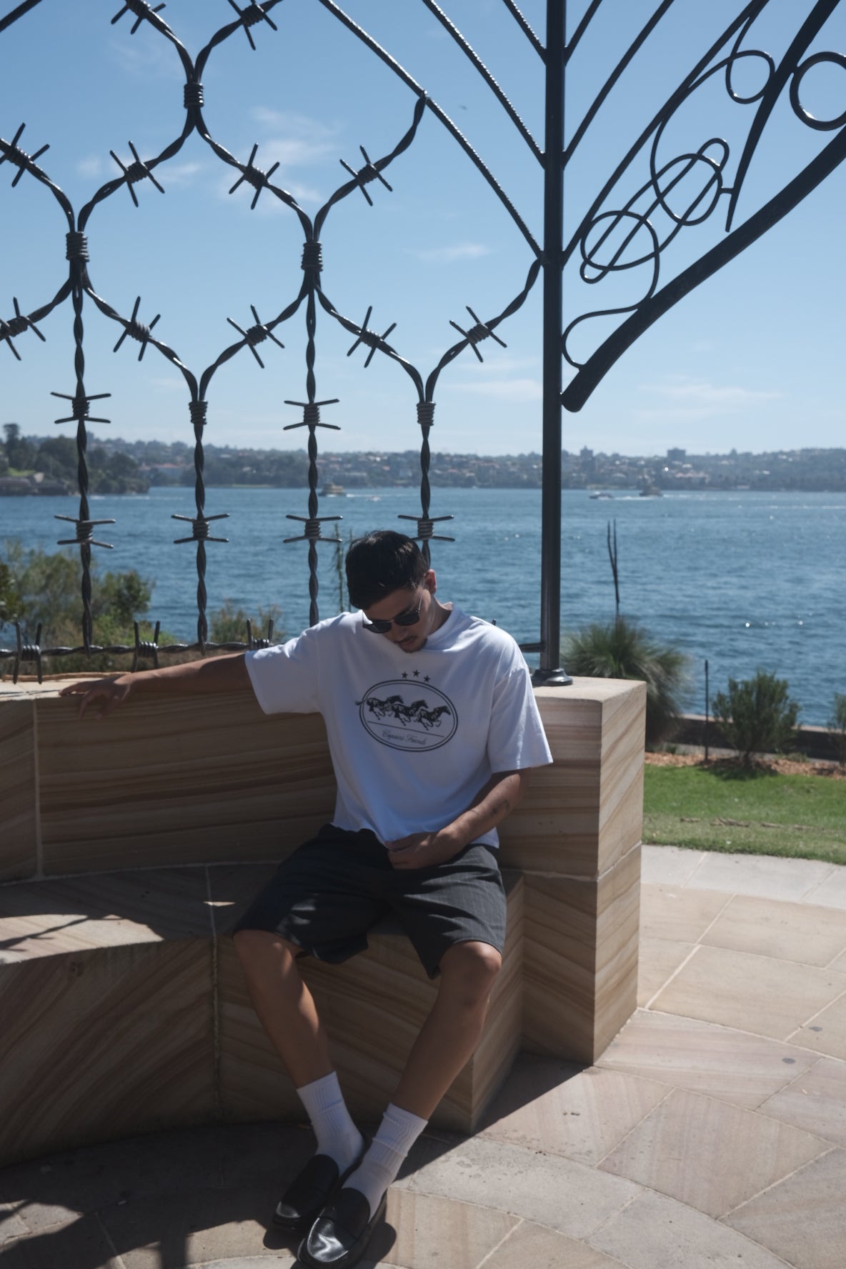 Triple Star | Horses Tee